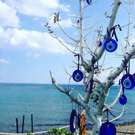 فندق Limonata Assos