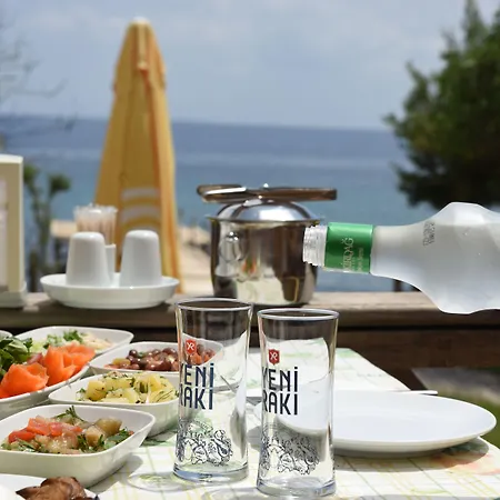 فندق Limonata Assos 3*