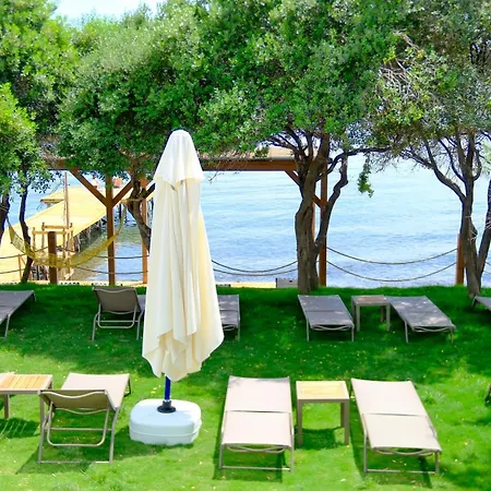 Limonata 3*