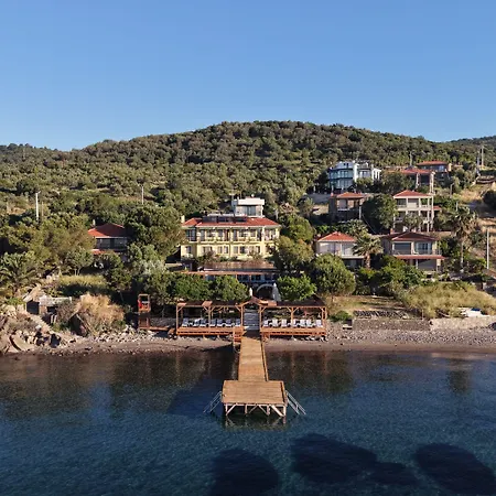 Limonata Assos