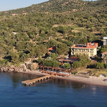 Limonata 3* Assos