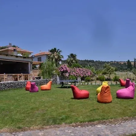 Limonata Assos Assos